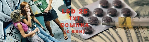 ГАЛЛЮЦИНОГЕННЫЕ ГРИБЫ Зеленодольск
