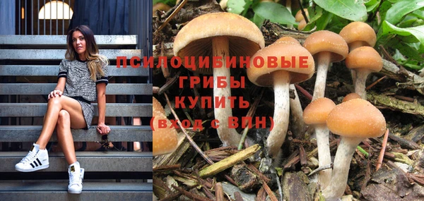 mix Инта
