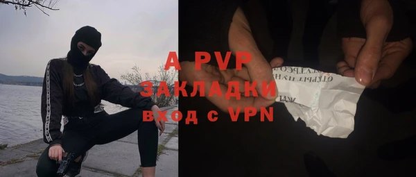 ГАЛЛЮЦИНОГЕННЫЕ ГРИБЫ Зеленодольск