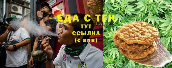 mix Инта