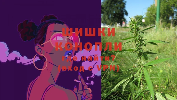 ГАЛЛЮЦИНОГЕННЫЕ ГРИБЫ Зеленодольск