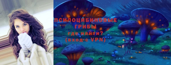 mix Инта